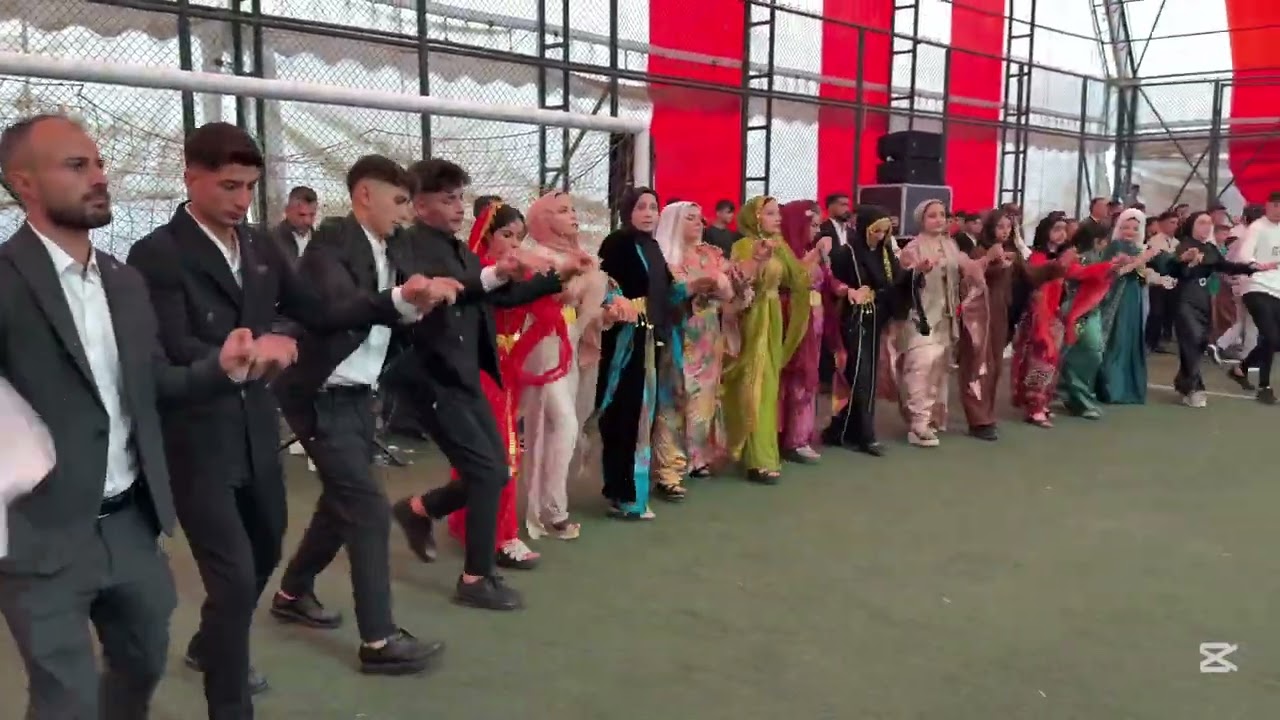 Selim çaltu düğünü Part 2 çaltu ailesi Grup welat silopi