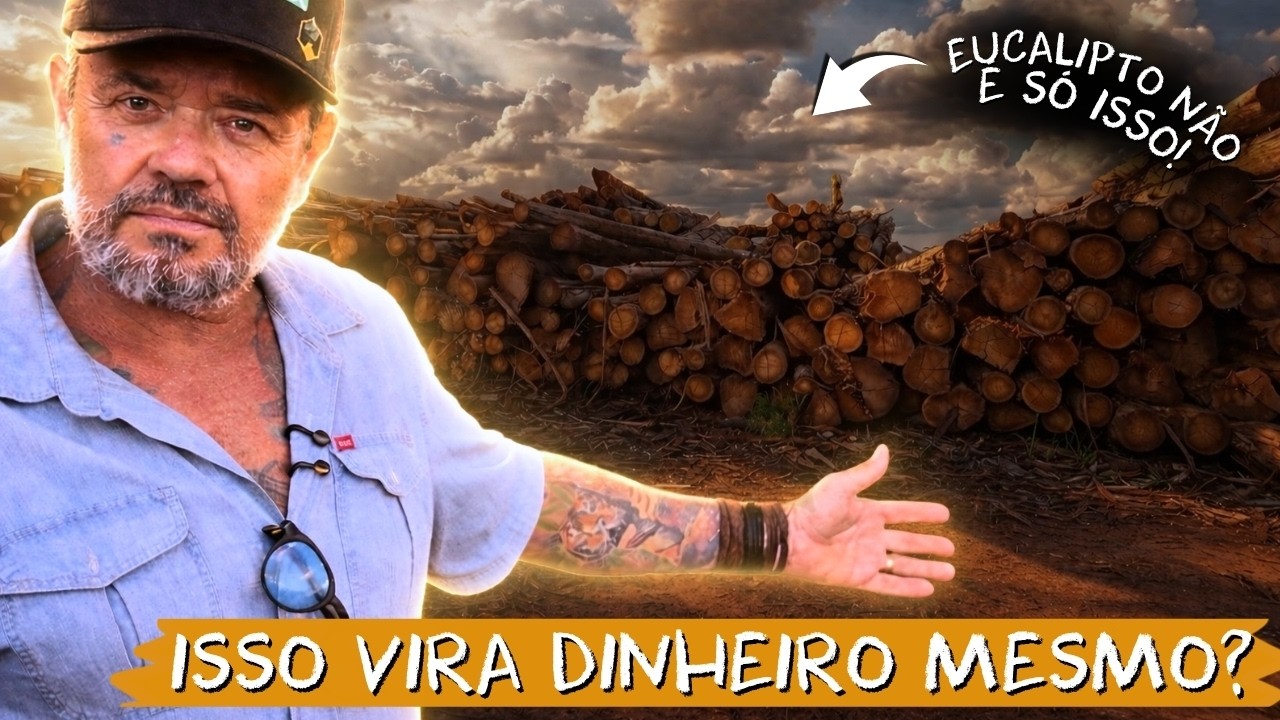 🌳 O SEGREDO DO EUCALIPTO QUE NINGU&Eacute;M TE CONTA!
