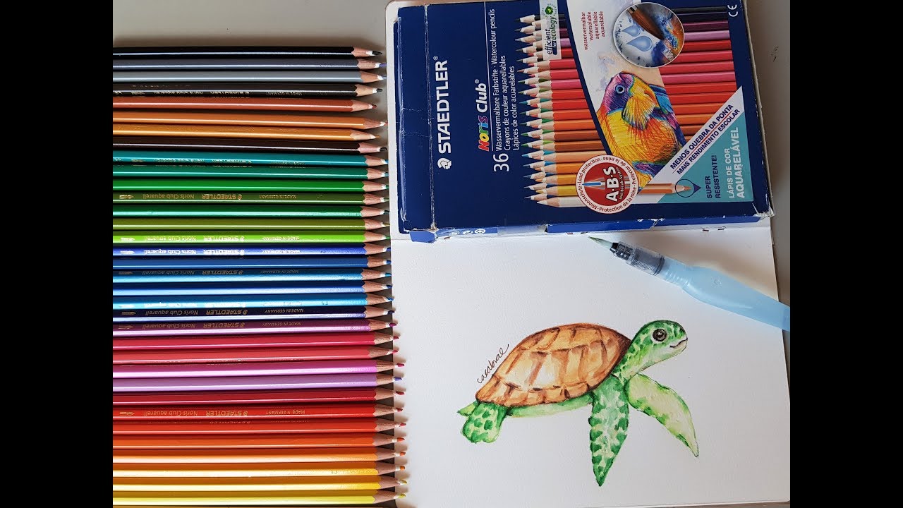 Resenha Lápis Aquareláveis Staedtler