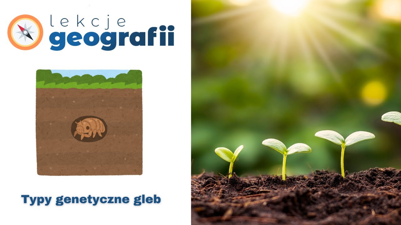 7.2 Typy genetyczne gleb