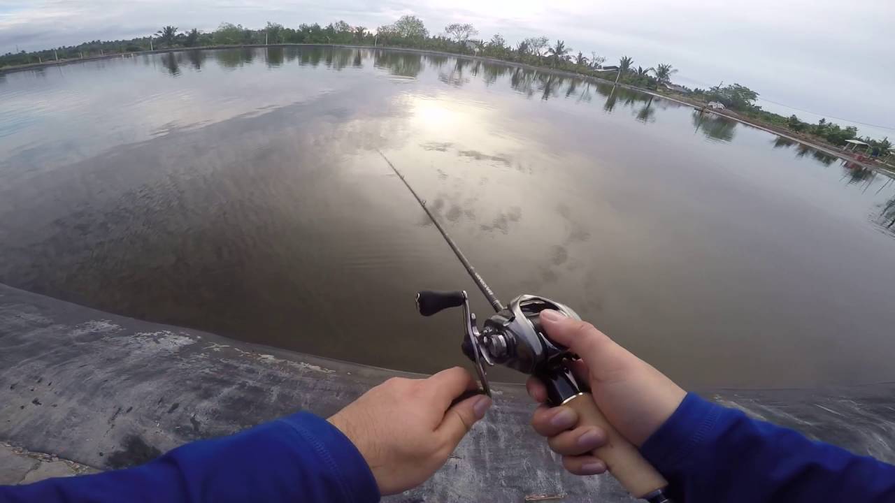 Barramundi fishing with Shimano 2016 Aldebaran