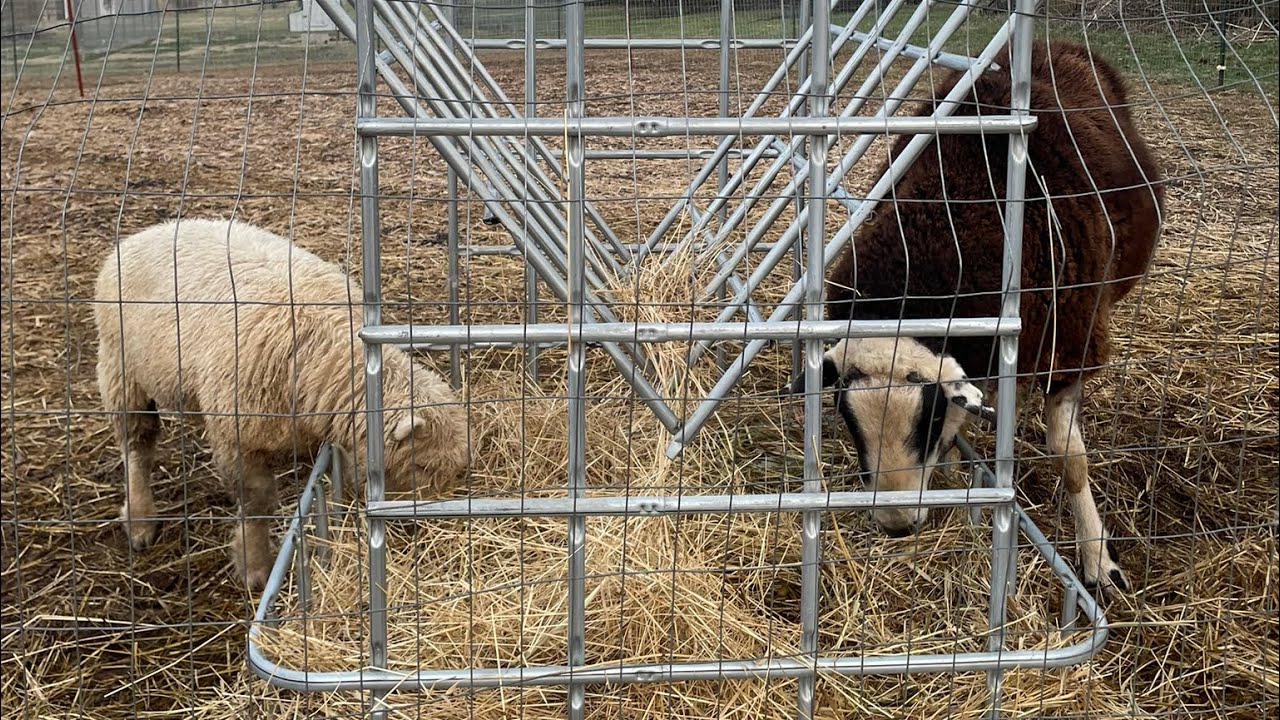 Tote-cage Hay-feeder build! 