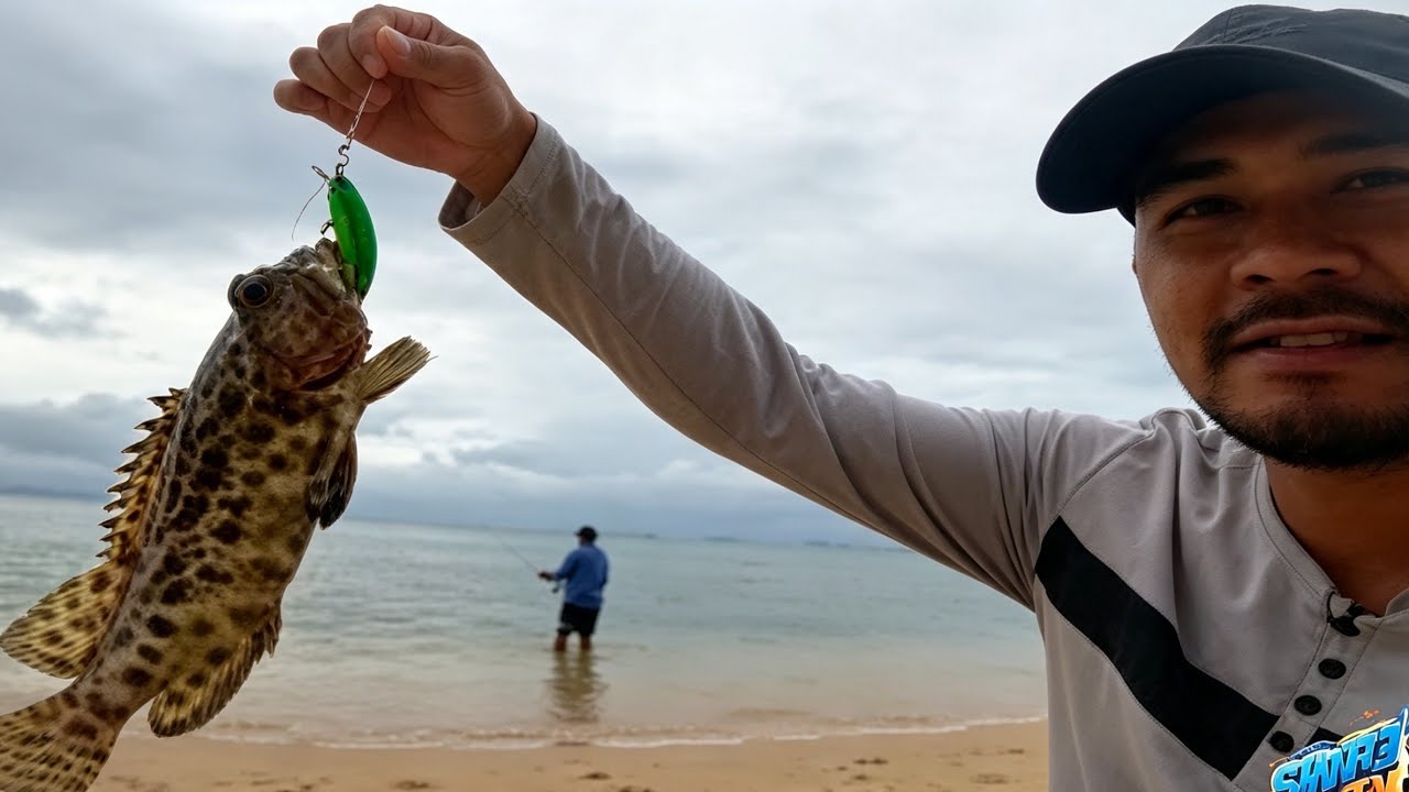 Pangangawil sa batohan na tyambahan namin mga grouper ang dami dito #bikol #camarinessur 