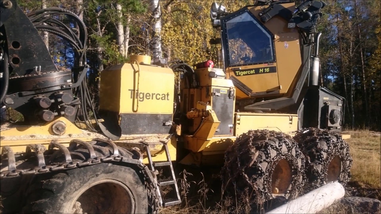 Tigercat Skördare och Skotare