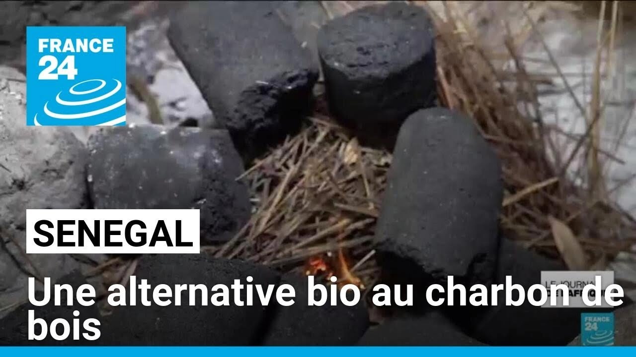 Sénégal : le bio-charbon, un fioul vert pour protéger les forêts • FRANCE 24