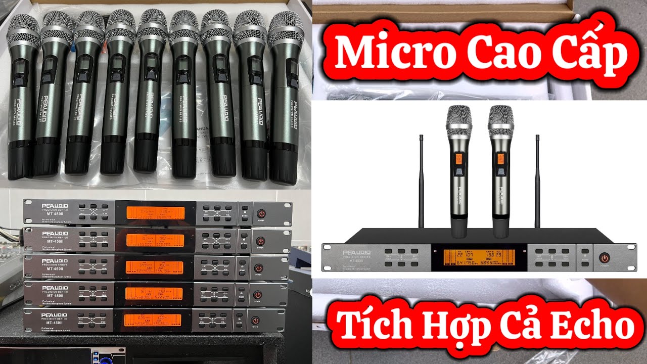 Micro Peaudio 450II Cao Cấp T&iacute;ch Hợp Sẳng 5 Chế Độ Echo Cực Hay Đ&atilde; C&oacute; H&agrave;ng Trở Lại LH 0932669768