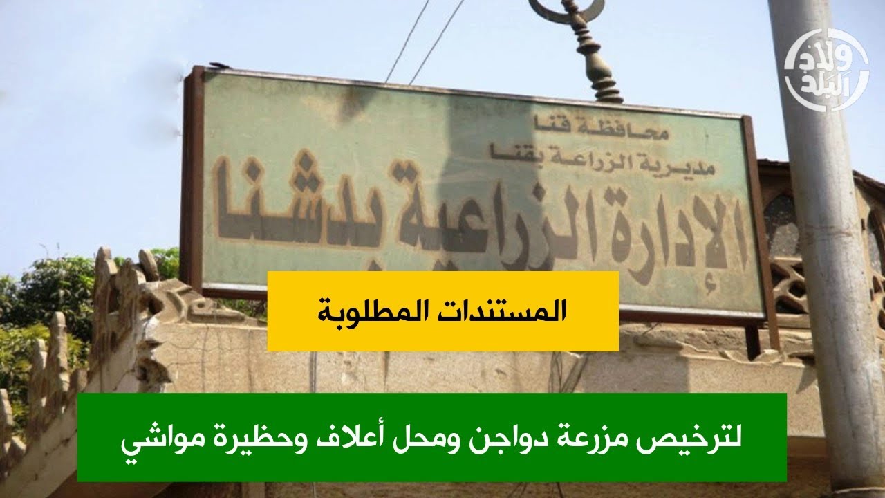 دشنا اليوم | لترخيص 