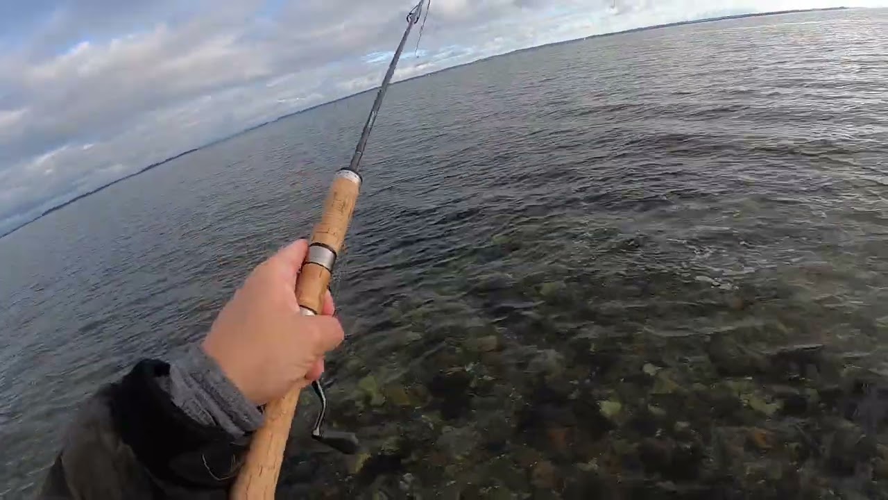 Havørred Fiskeri med hjemmelavet blink  den 15 november.