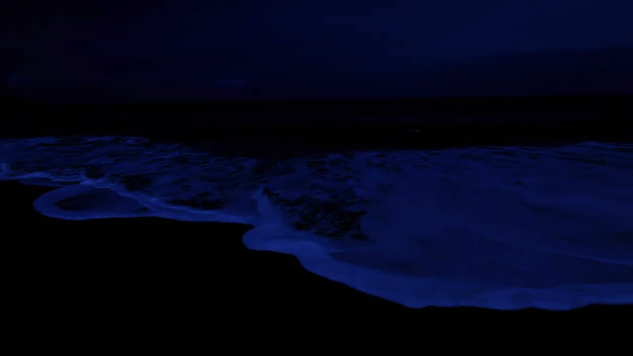 Sleep in 3 Minutes: Night Beach Waves, Black Screen, No Distractions