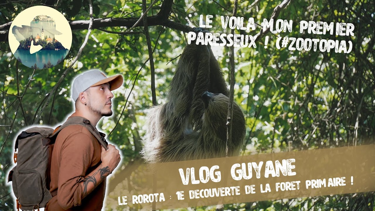 🇬🇫 VLOG GUYANE : DÉCOUVERTE BIEN CHILL DU SENTIER DU ROROTA 🇬🇫