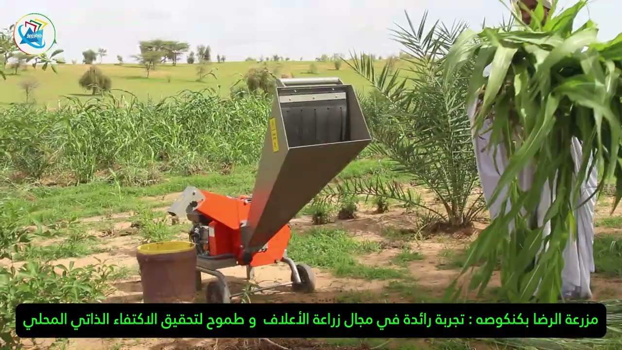 كنكوصه : مزرعة الرضا لزراعة الأعلاف ... تجربة رائدة و طموح بتحقيق الاكتفاء الذاتي المحلي.