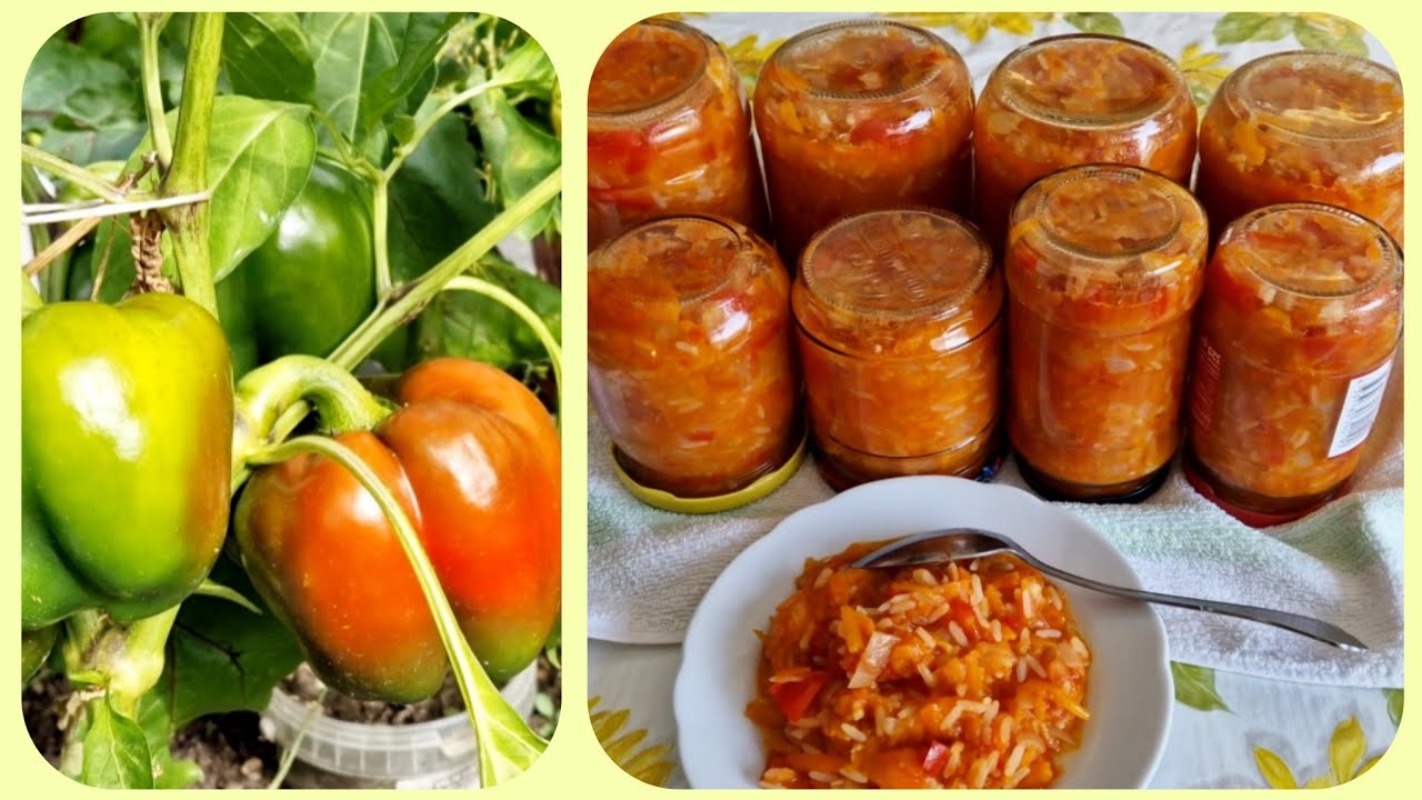 - и Салат, и Закуска, и Суп с рисом - всё  в одной банке. Очень Вкусно  в любом случае.