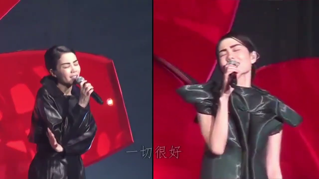 【巡唱】王菲 Faye Wong - 新房客 + 香奈兒 Live 2010-12 (完整版)