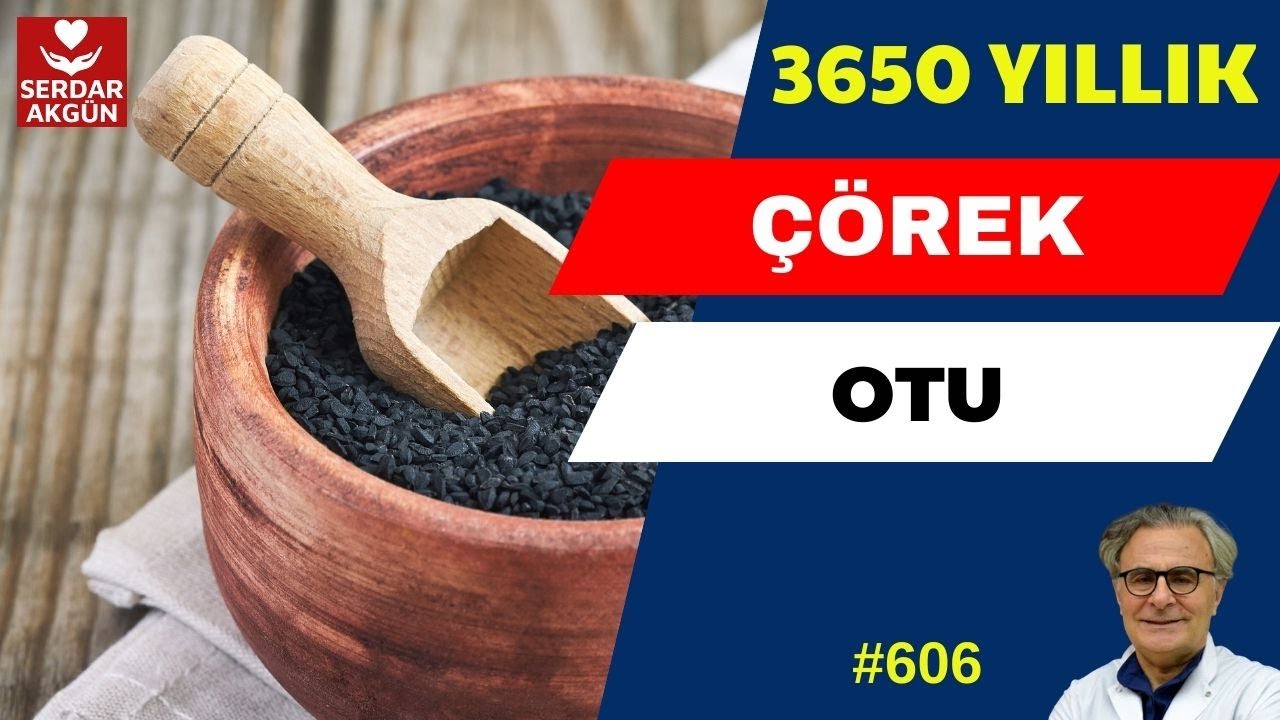 606. Sağlık, Çörek Otu, Çörek Otu Yağı, Faydaları, Prof.Dr.Serdar Akgün, Tıp Videoları