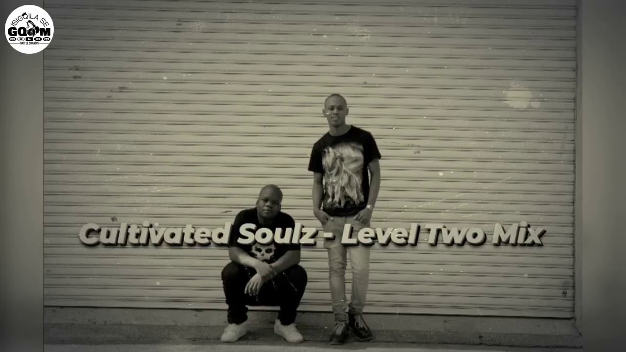 Cultivated Soulz-Level Two Mixtape