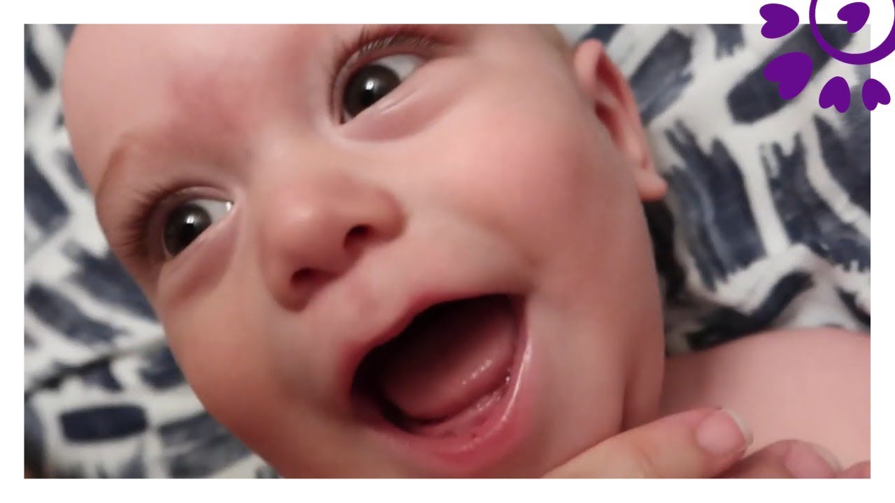 PRIMEIRO DENTINHO NO ANIVERSÁRIO DE 9 MESES - FLÁVIA CALINA