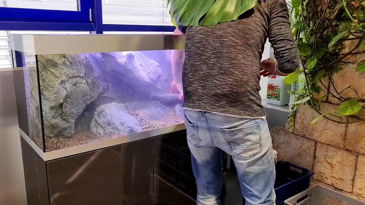 Oase Highline 400 Stream tank project - finish