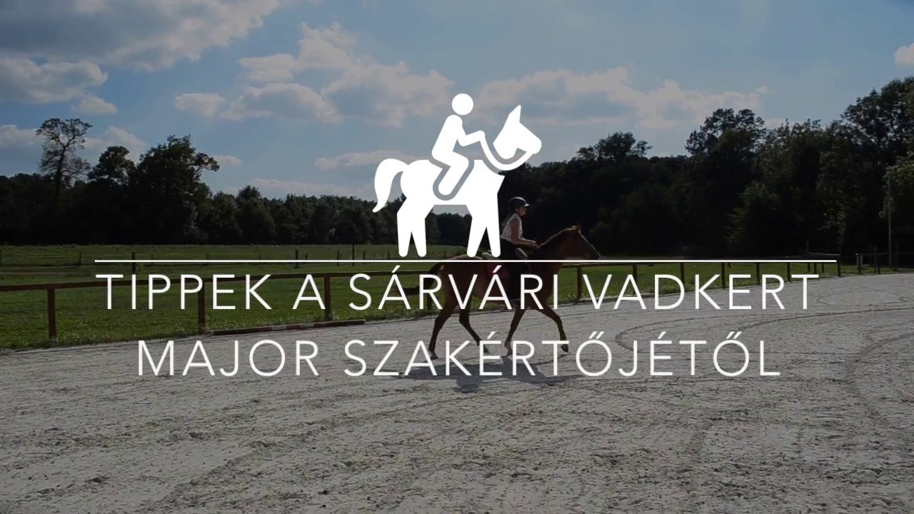 Hogyan kell lovagolni?