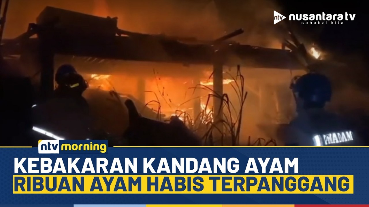 [LIVE] Kebakaran Kandang Ayam di Garut, Ribuan Ayam Mati Terpanggang | NTV MORNING