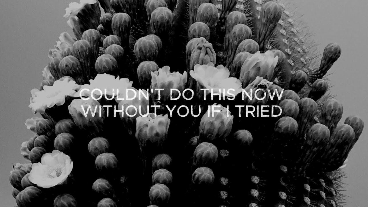 John Wolf - Forever's Not Enough (Lyric Video)