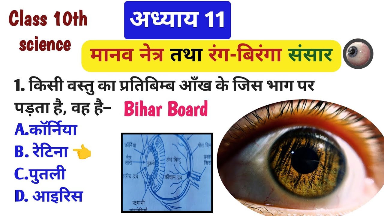 मानव नेत्र Chapter 11 MCQ | Class 10 Science Objective Questions