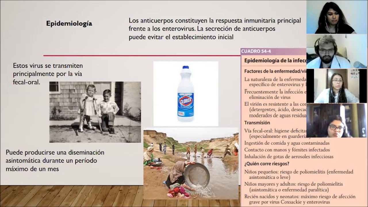 Picornavirus