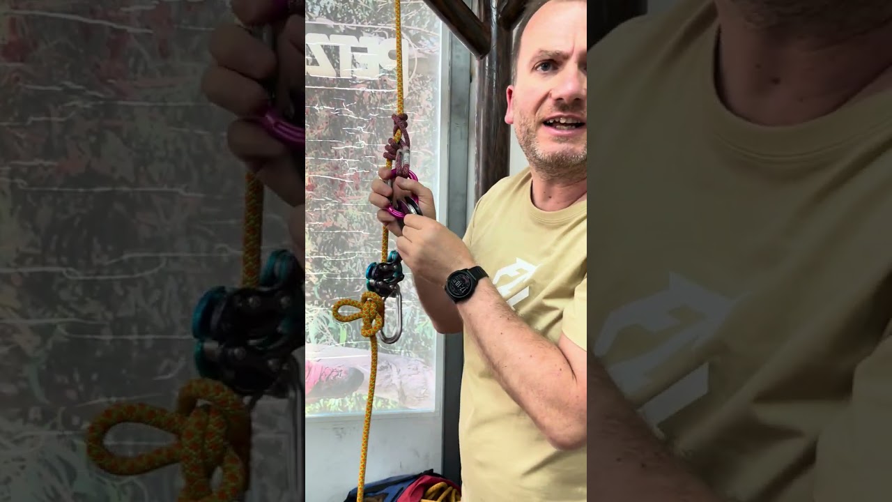 C&oacute;mo montar un sistema inline para poda en altura