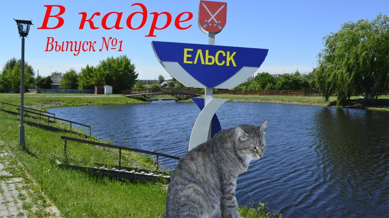 В кадре: Ельск. Выпуск №1