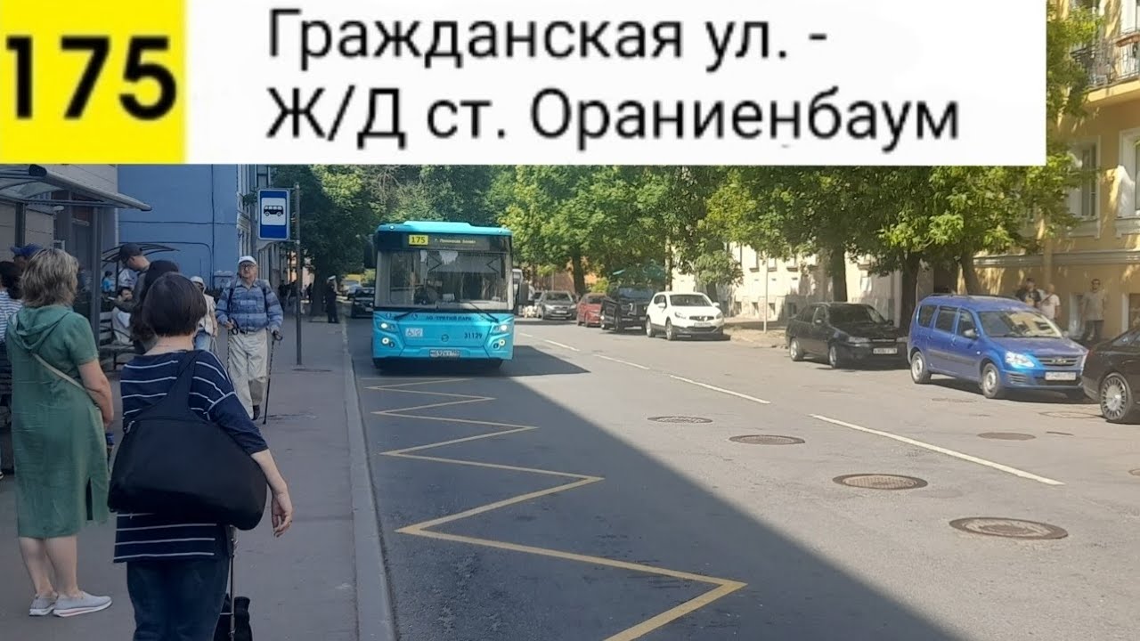 Автобус 175. Гражданская ул. - Ж/Д ст. Ораниенбаум