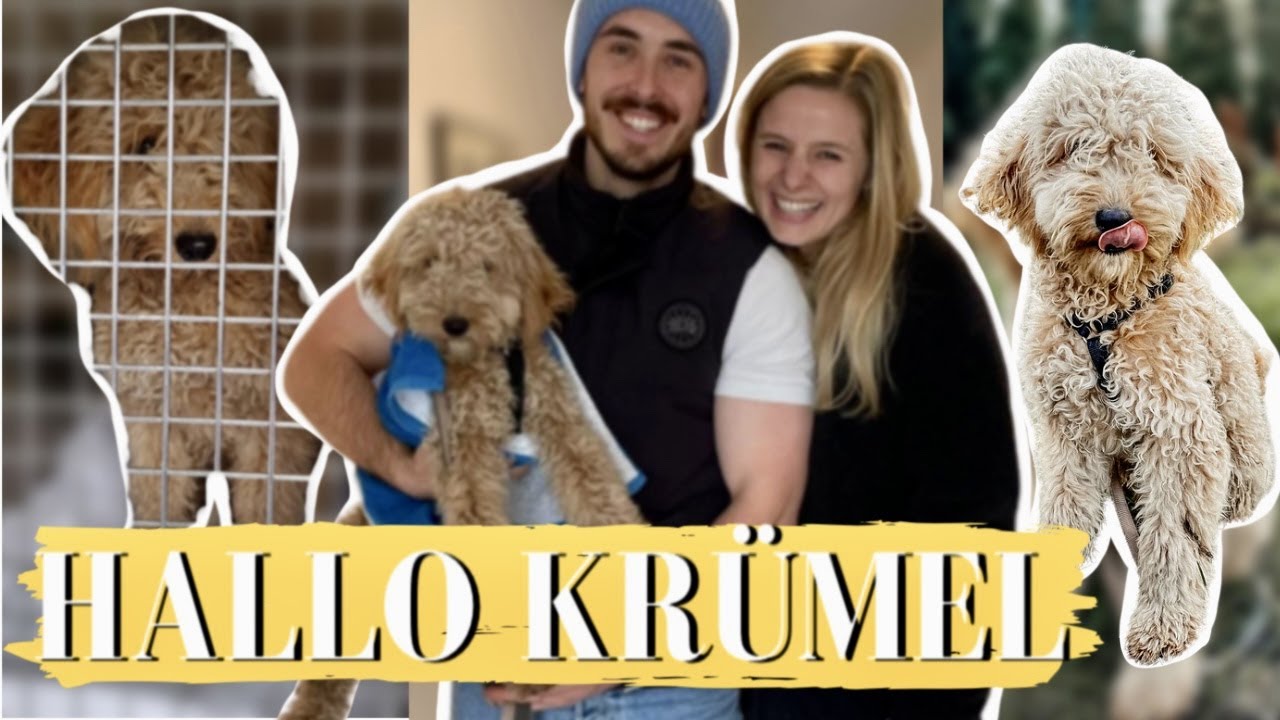 Hallo Krümel I TIERSCHUTZ-WELPE zieht ein I 1. Tag + 1. Nacht I Fibis Adventures