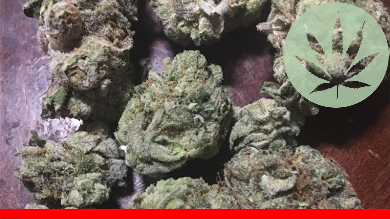 Darth Vader Og - All About This Strain