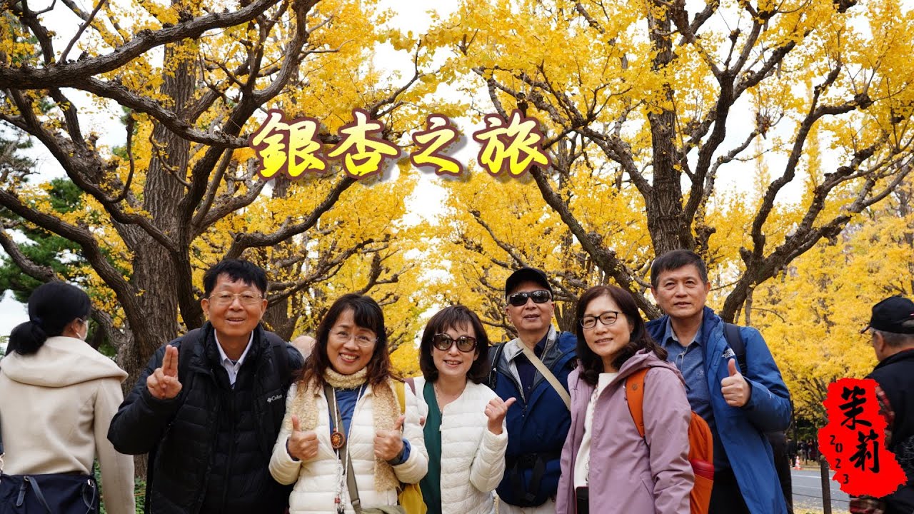 2023 12 01東京銀杏之旅