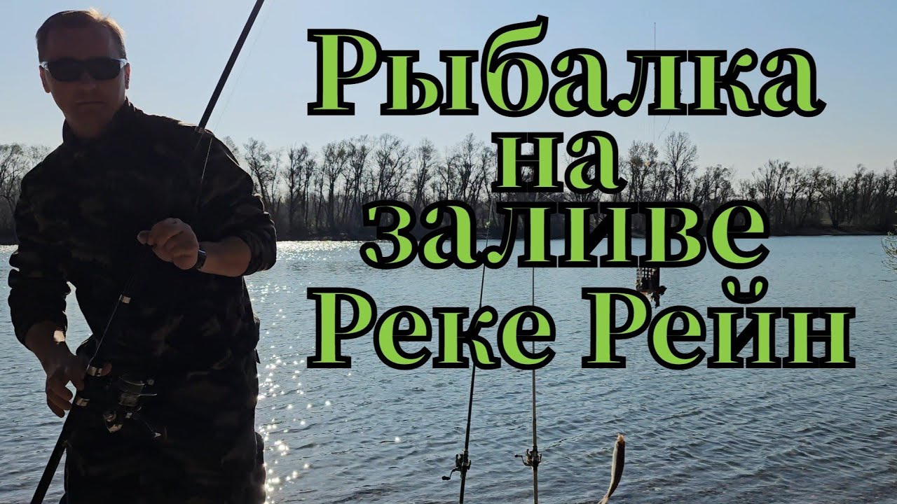 Активная рыбалка🎣 на заливе реке Рейн клюнул подлещик и плотва #рыбалка  #fishing #плотва #лещ 