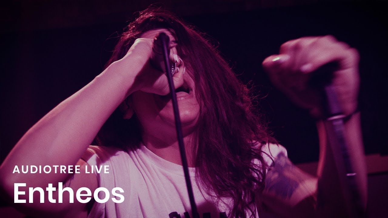 Entheos - Black Static (I) / White Noise (II) | Audiotree Live