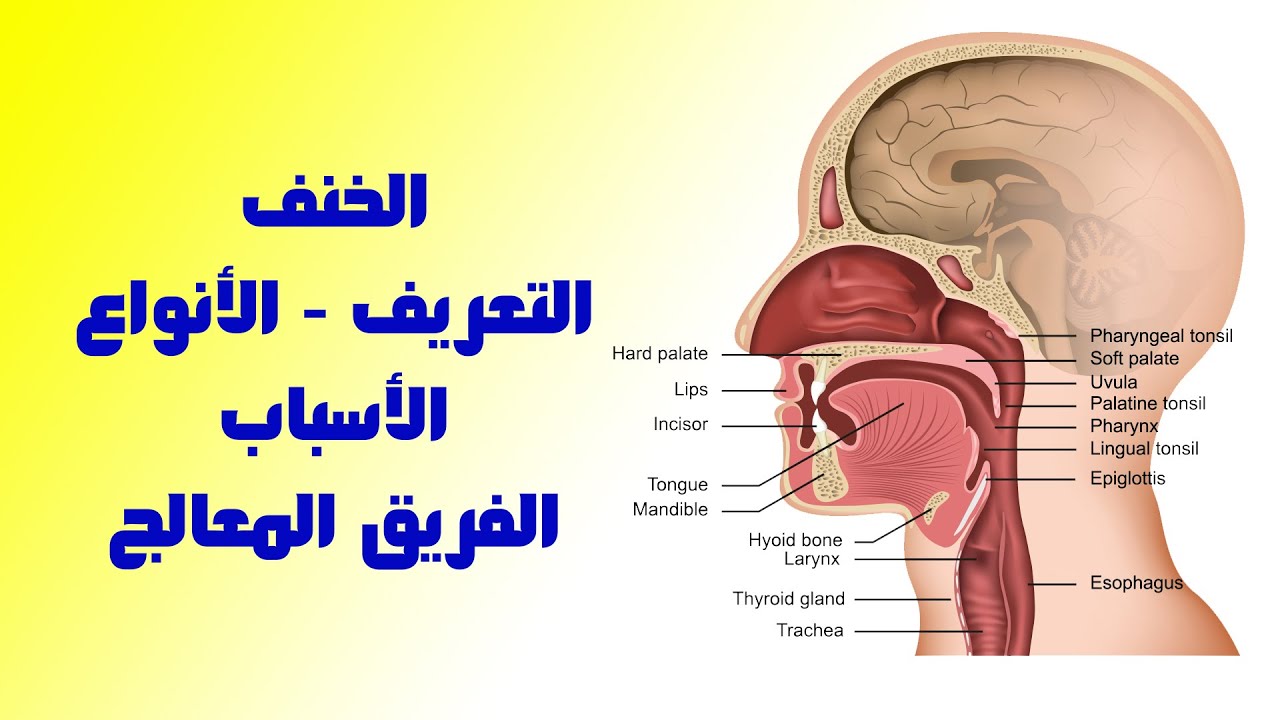 الخنف ( أسبابه - أنواعه - الفريق المعالج ) | أخصائي التخاطب محمد صبري