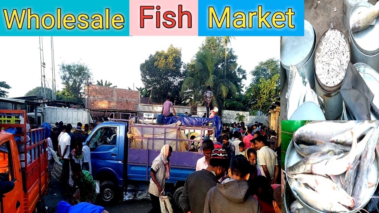 Wholesale Fish Market || मसली की मंडी ||थोक बाज़ार