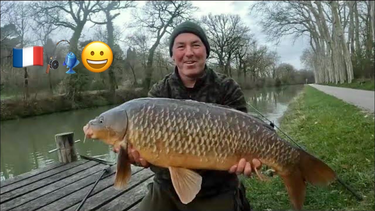 Canal Carping adventures 🎣🇫🇷 Early Spring Success