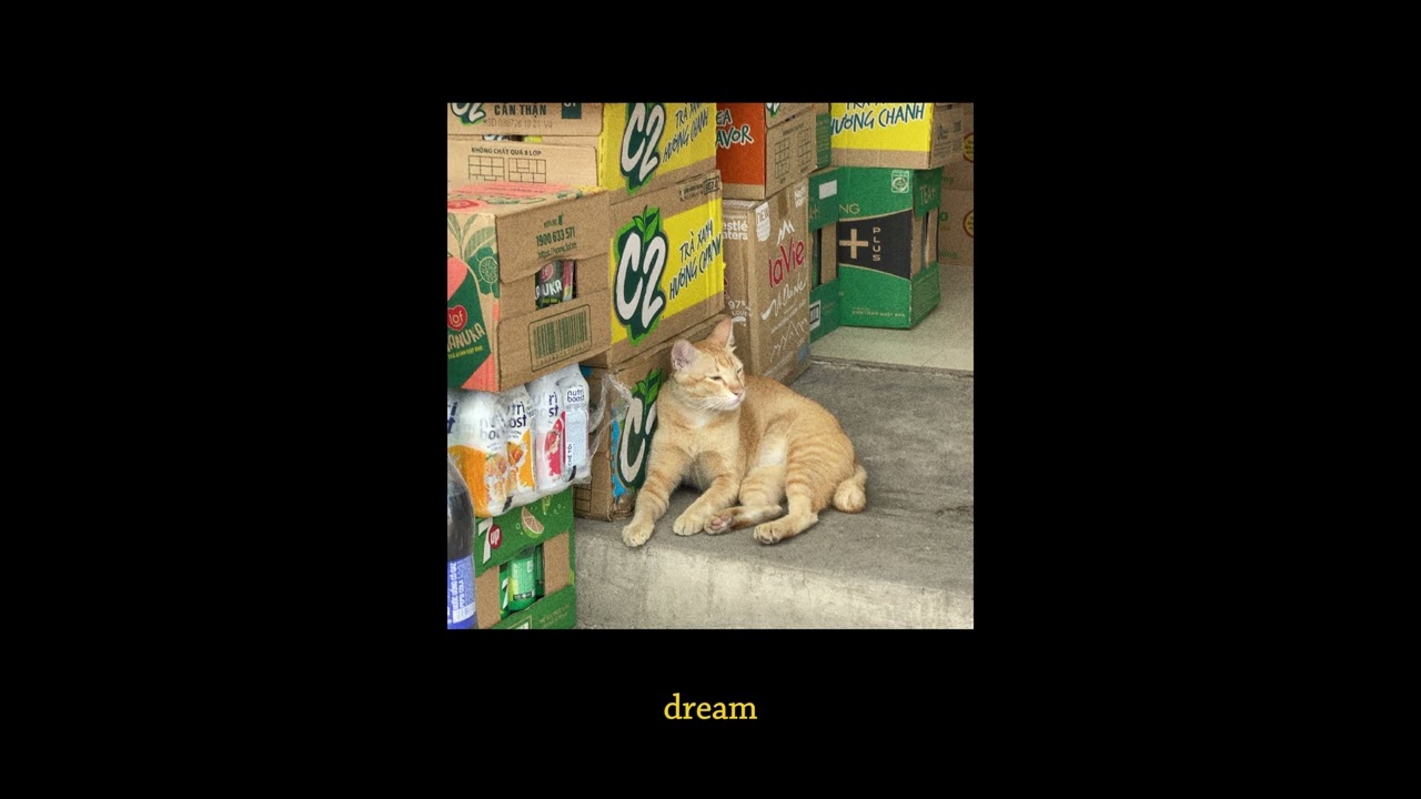 🐈 KIDO3008 playlist - made by the cat aka a friend of maru