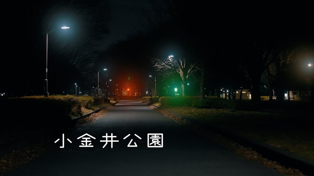 [足音ASMR・作業用BGM]深夜の小金井公園を徘徊 Midnight Walk Footsteps in