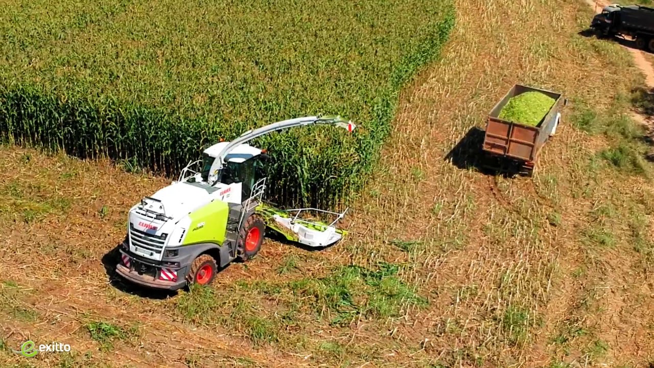 Claas Jaguar 870 | Máquina Agrícola | Corinto Minas Gerais