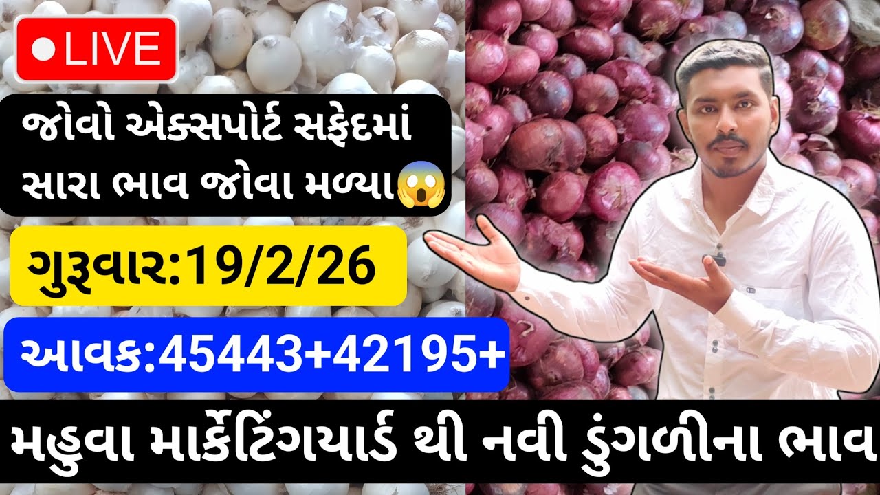 મહુવા થી લાલ અને સફેદડુંગળીના ભાવ🔥| 19/2/26 | White & Red Onion Market Rate Today💸| लाल ओर सफेद भाव🧅