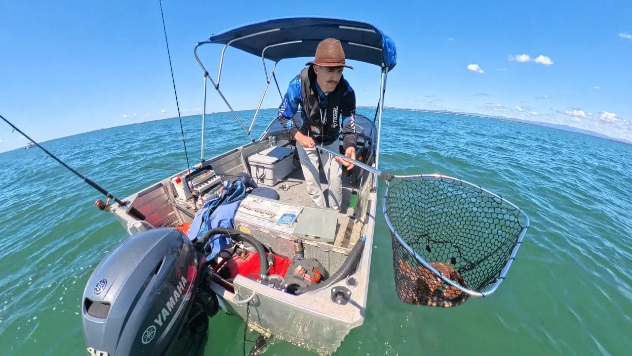 Moreton Bay Fishing - Woody Point