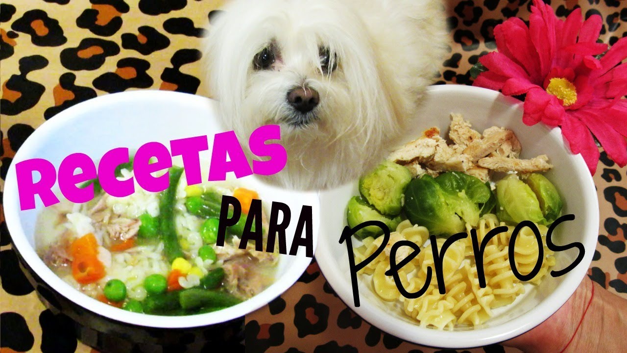 Receta: CUELLO DE POLLO para mi PERRO,  COMIDAS CASERAS, Coton de tulear I Lorentix