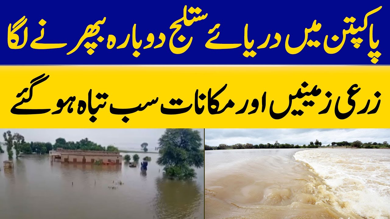 Pakpattan: Sutlej River Started Flowing Again, Agricultural Lands, Houses Destroyed | Dawn News