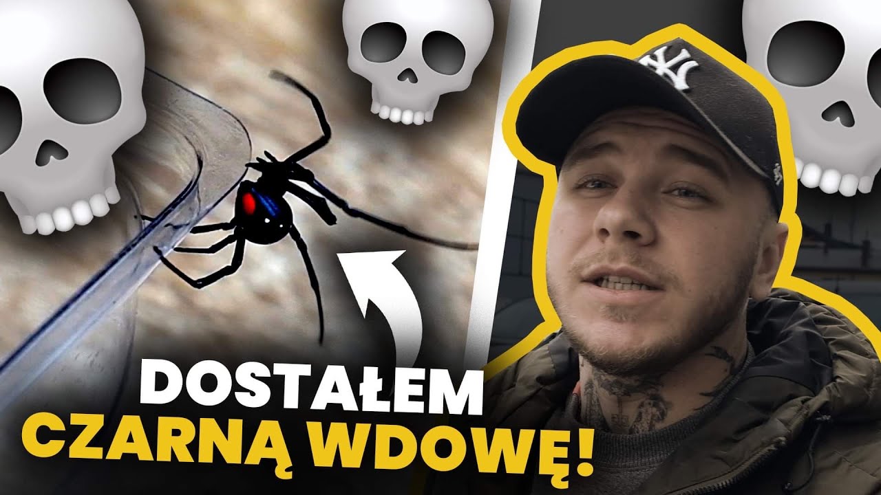 PACZKA NIESPODZIANKA od SpiderLublin -  SAME SZTOSY