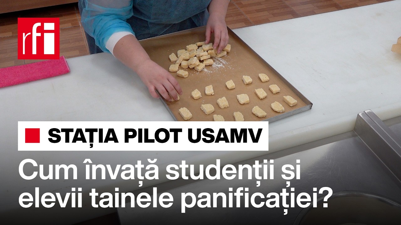 Secretele panificației, descoperite pas cu pas în stația pilot a USAMV București