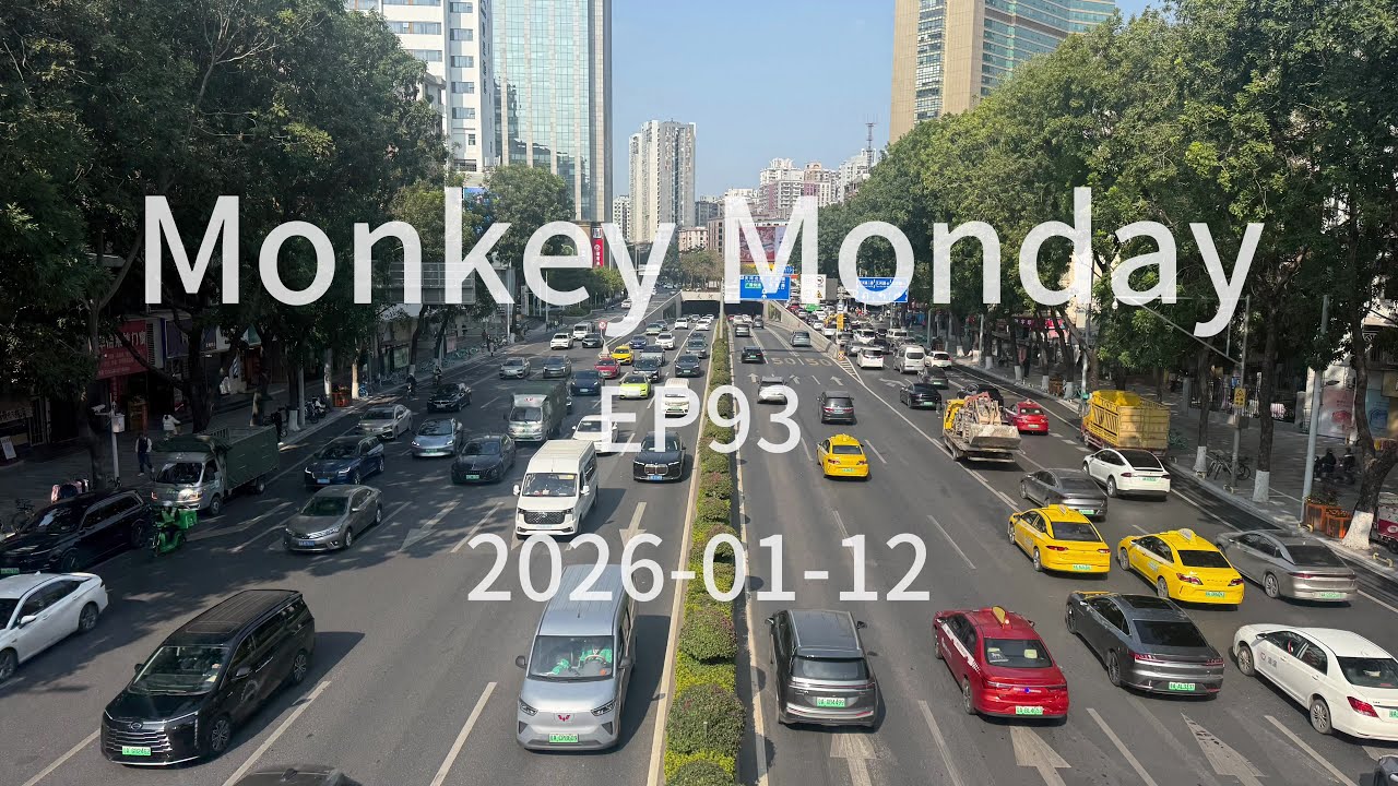 Monkey Monday EP93 | 广州交通日常 | 今日份猴子：38