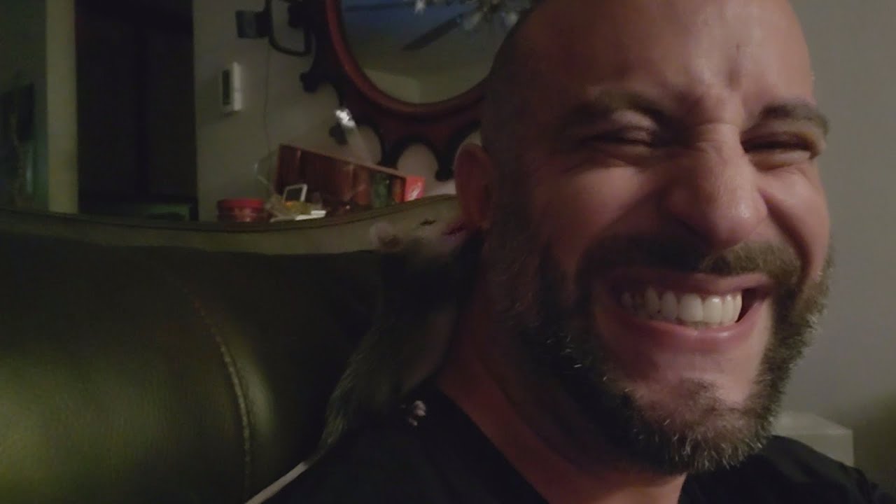Petey the Baby Opossum Biting My Ear