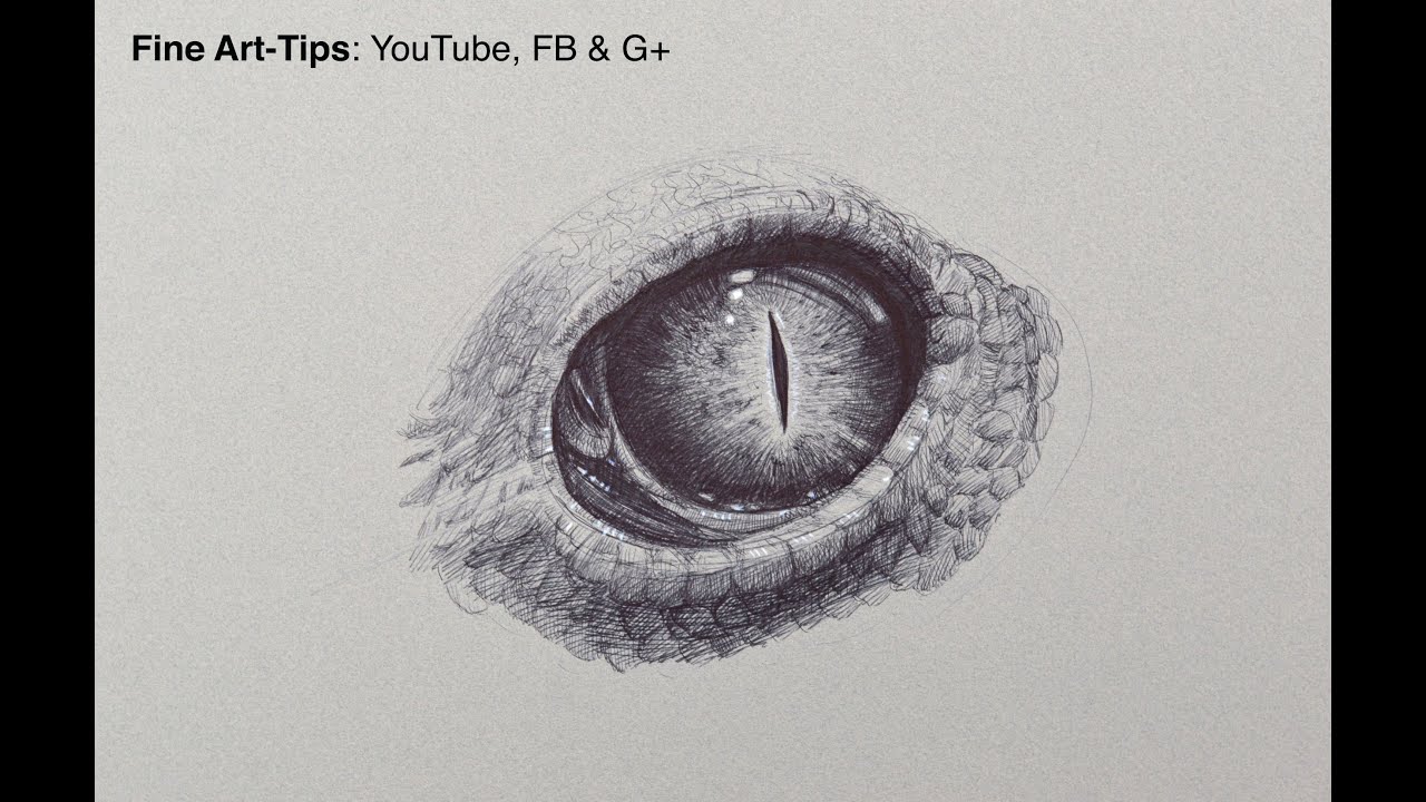 How to Draw a Reptillian Eye With a Ball Point Pen - Fine Art-Tips