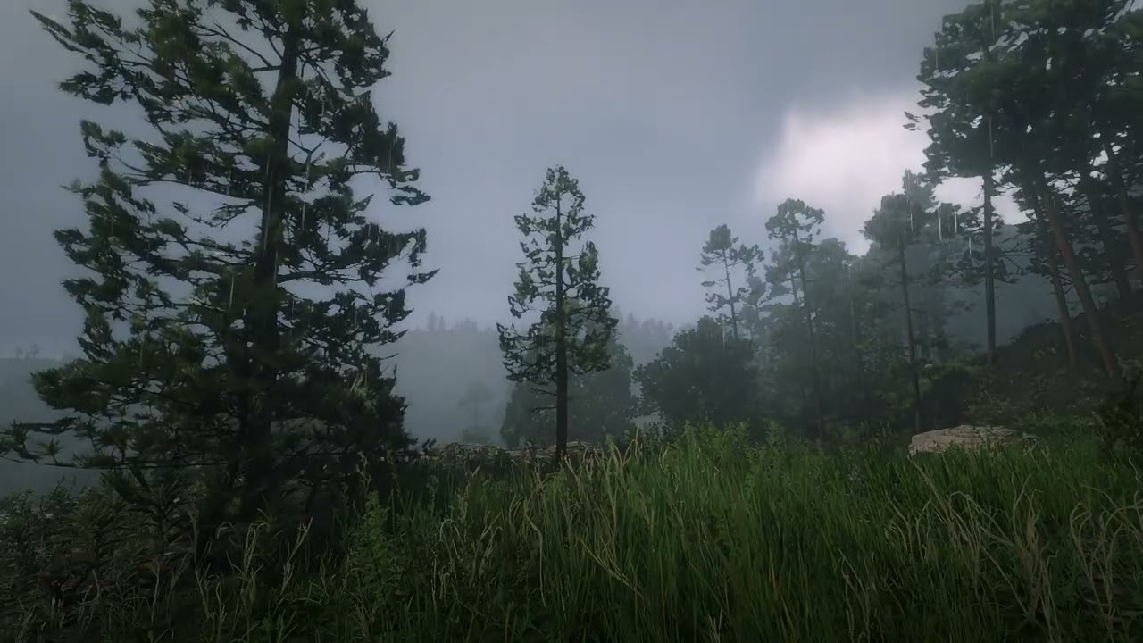 This Forest Rain Ambience Will Change Your Sleep Forever 😴